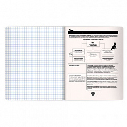 Тетрадь предметная КОТ-НЕПОСЕДА 48 л., пластиковая обложка, ОБЗР, клетка, подсказ, BRAUBERG, 405539