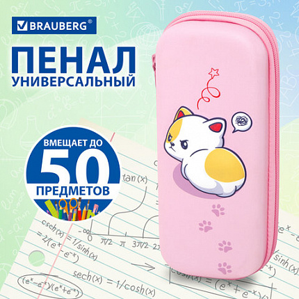 Пенал BRAUBERG, 1 отделение, 1 откидная планка, EVA, 22х10х5 см, "Disturbed", 273513