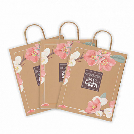 Крафт-пакет бумажный "Для тебя" 22х12х25 см, с кручеными ручками, плотность 80 г/м2, 110562