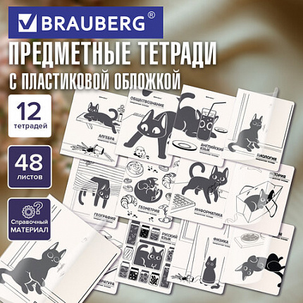Тетради предметные, КОМПЛЕКТ 12 ПРЕДМЕТОВ 48 л., пластиковая обложка, BRAUBERG "КОТ-НЕПОСЕДА", 405542