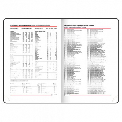 Ежедневник недатированный А5 138х213 мм BRAUBERG "Towny" под кожу, магнитный клапан 160 л., черный, 123785