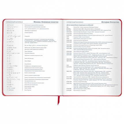 Дневник 1-11 класс 48 л., кожзам (твердая), шелкография, BRAUBERG, "Anime", 106225