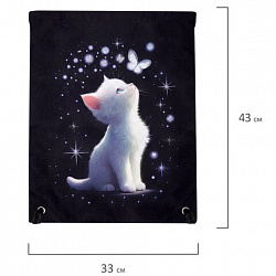 Мешок для обуви BRAUBERG PREMIUM, карман, подкладка, светоотражайка, 43х33 см, "White kitten", 274646