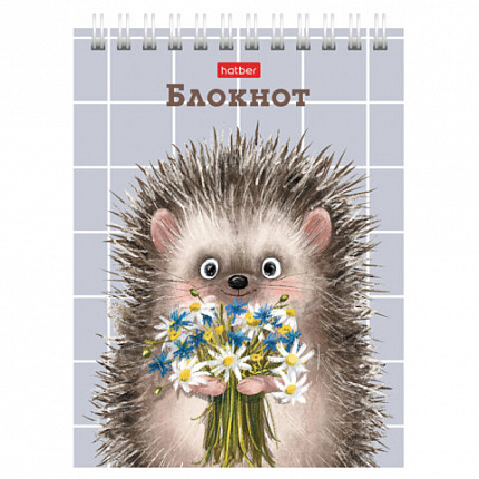 Блокнот МАЛЫЙ ФОРМАТ А6, 40 л., гребень, картон, клетка, HATBER, "Хорошо быть ёжиком", 080472, 40Б6В1гр