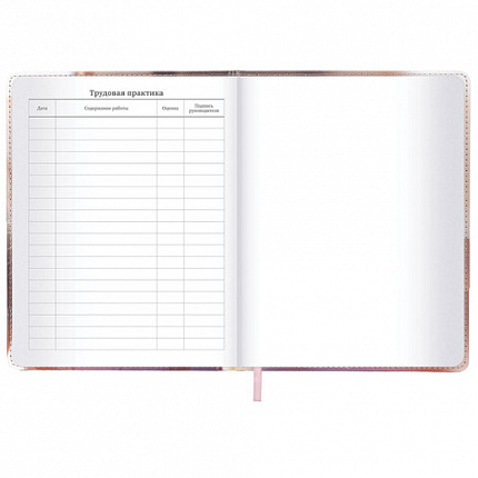 Дневник 1-11 класс 48 л., кожзам (твердая), застежка, BRAUBERG, "Котик с рыбкой", 107229