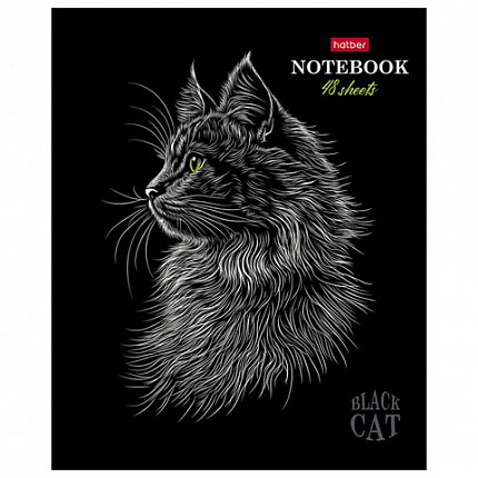 Тетрадь А5, 48 л., HATBER, скоба, клетка, матовая ламинация, 3D-лак, "Black Cat" (микс в спайке), 093159, 48Т5лолВ1