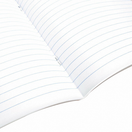 Тетрадь предметная "КОЛОР" 36 л., обложка мелованная бумага, ЛИТЕРАТУРА, линия, BRAUBERG, 405077