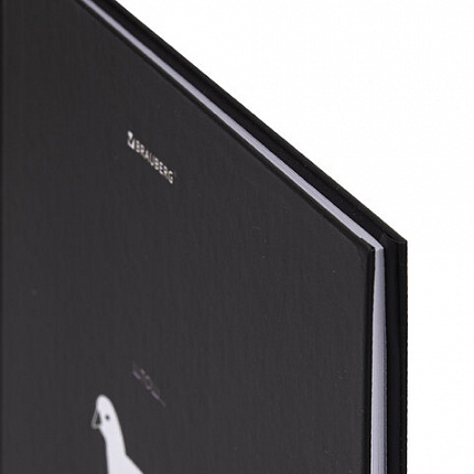 Дневник 5-11 класс 48 л., твердый, BRAUBERG, матовая ламинация, с подсказом, "Штош", 107190