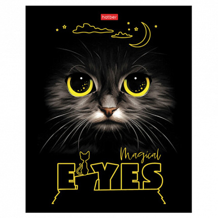 Тетрадь А5 48 л., HATBER скоба, клетка, матовая ламинация, 3D-лак, "Волшебные глаза" (микс), 088313, 48Т5лолВ1