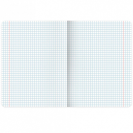 Тетрадь А5, 48 л., BRAUBERG, скоба, клетка, выборочный лак, "Классика" (микс в спайке), 404344