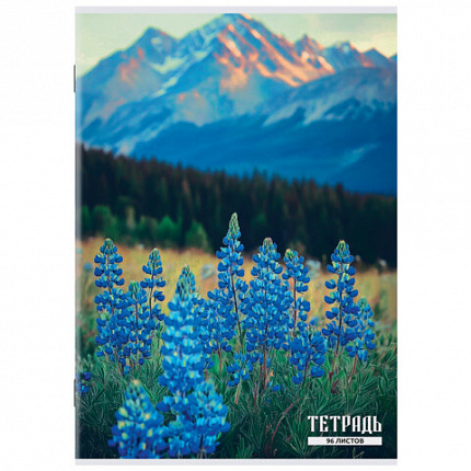 Тетрадь А4 96 л. STAFF College скоба, клетка, офсет №2 ЭКОНОМ, обложка картон, ПРИРОДА, 405621