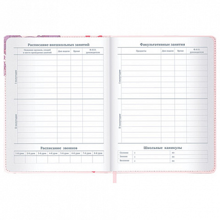 Дневник 1-11 класс 48 л., кожзам (твердая), застежка, BRAUBERG, "Аниме девочка", 107228