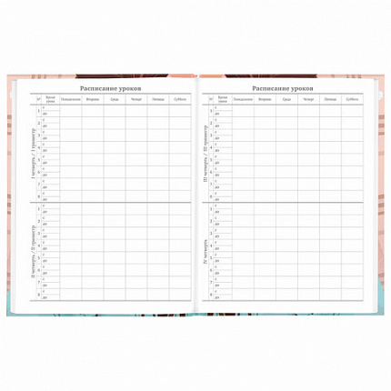 Дневник 5-11 класс 48 л., твердый, BRAUBERG, глянцевая ламинация, с подсказом, "Summer girl", 106882