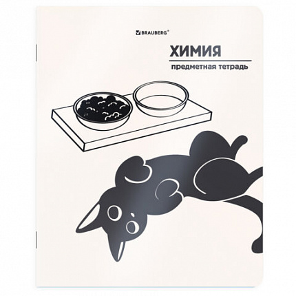Тетради предметные, КОМПЛЕКТ 12 ПРЕДМЕТОВ 48л, пластиковая обложка, BRAUBERG "КОТ-НЕПОСЕДА", 405542