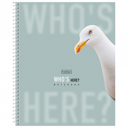 Тетрадь А5 96л. HATBER спираль, клетка, матовая ламинация, Кто здесь? (микс в спайке), 96Т5лВ1сп