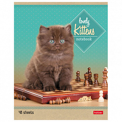 Тетрадь А5, 48 л., HATBER, скоба, линия, обложка картон, "КОТЯТА" (микс в спайке), 047012, 48Т5В2