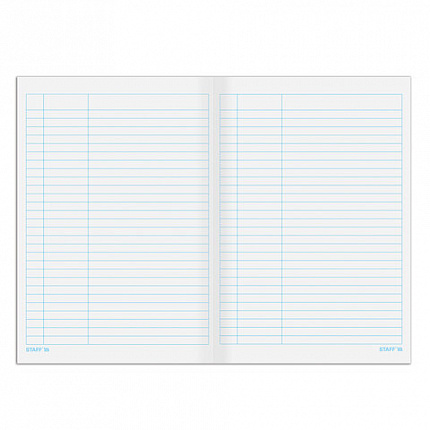 Книга учета 48 л., пустографка, обложка из мелованного картона, блок офсет, (А4 200х290 мм), STAFF, 130212