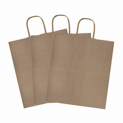 Крафт-пакет бумажный 24х14х28 см, КОМПЛЕКТ 50 шт., крученые ручки, плотность 90 г/м2, LAIMA ECO CRAFT, 609685