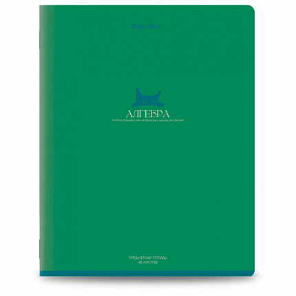 Тетради предметные, КОМПЛЕКТ 13 ПРЕДМЕТОВ, 48 л., матовая ламинация, BRAUBERG "MONOCOLOR", 405175