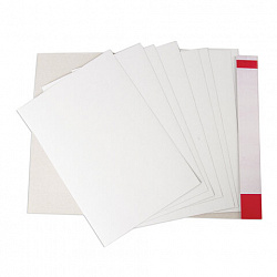 Картон белый А4 МЕЛОВАННЫЙ (белый оборот), 8 листов, в папке, BRAUBERG, 200х290 мм, "Лодочка", 129906