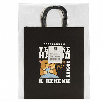 Пакет подарочный (1 штука) 26х13х32 см (L) "Funny Notes", ассорти, крафт, ЗОЛОТАЯ СКАЗКА, 700824