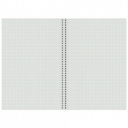 Тетрадь А4 96 л. STAFF College гребень, клетка, офсет №2 ЭКОНОМ, обложка картон, ПРИРОДА, 405619