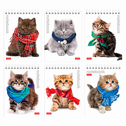 Блокнот МАЛЫЙ ФОРМАТ А6 110х145 мм, 40 л., гребень, лакированная обложка, клетка, HATBER, "Милые Котята", 004667, 40Б6B1гр