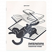 Тетради предметные, КОМПЛЕКТ 12 ПРЕДМЕТОВ 48 л., пластиковая обложка, BRAUBERG "КОТ-НЕПОСЕДА", 405542