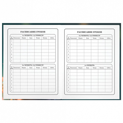 Дневник 1-4 класс 48 л., гибкая обложка, ЮНЛАНДИЯ, выборочный лак, с подсказом, "Медвежонок", 107141