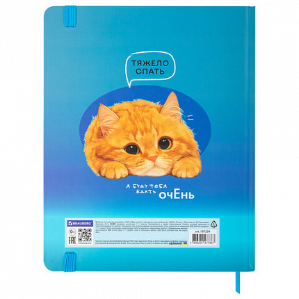 Дневник 1-11 класс 48 л., твердый, BRAUBERG, матовая ламинация, резинка, закладка-ляссе, с подсказом, "Котик", 107239