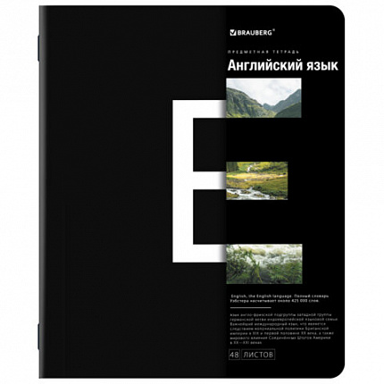 Тетради предметные, КОМПЛЕКТ 12 ПРЕДМЕТОВ, INTELLIGENCE, 48л, матовая ламинация, BRAUBERG, 404845