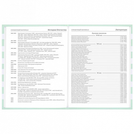 Дневник 1-11 класс 48 л., твердый, BRAUBERG, блестки, с подсказом, "Котик", 106606