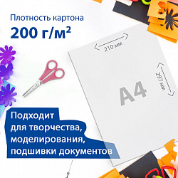 Картон белый А4 МЕЛОВАННЫЙ (белый оборот) 100 листов, в коробке, BRAUBERG, 210х297 мм, 116415