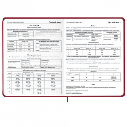 Дневник 1-11 класс 48 л., твердый, BRAUBERG, матовая ламинация, резинка, закладка-ляссе, с подсказом, "Мото", 107236