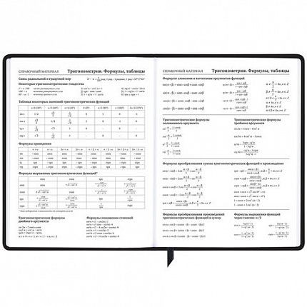Дневник 1-11 класс 48 л., кожзам (твердая с поролоном), фольга, BRAUBERG HOLIDAY, "Free Spirit", 106568