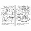 Книжка-раскраска "Любимые сказки", ассорти, 16 стр., 210х290 мм, HATBER