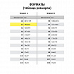 Ватман формат А1 (610х860 мм) ГОЗНАК С-Пб, плотность 200 г/м2, КОМПЛЕКТ 10 л., водяной знак, BRAUBERG, 880775