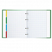 Тетрадь на кольцах А5 (175х215 мм), 240 листов, твердый картон, клетка, с разделителями, BRAUBERG, Авокадо, 404098