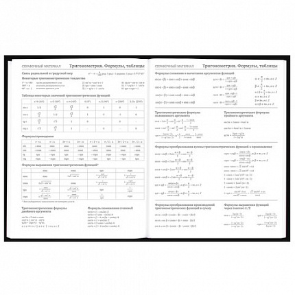 Дневник 5-11 класс 48 л., твердый, BRAUBERG, выборочный лак, с подсказом, "Dragon", 107195