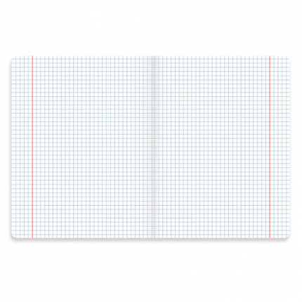 Тетради предметные со справочным материалом, КОМПЛЕКТ 10 ПРЕДМЕТОВ, 48 л., SoftTouch, фольга, BRAUBERG, "PASTEL", 404031