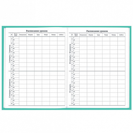 Дневник 1-11 класс 40 л., твердый, BRAUBERG, матовая ламинация, АССОРТИ, 107165