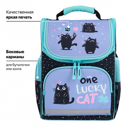 Ранец ПИФАГОР BASIC, 1 отделение, 3 кармана, эргономичная спинка, "Счастливые коты", 35х28х18 см, 273135