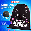 Мешок для обуви ПИФАГОР, 1 отделение, 42х34 см, "Черный кот", 273419
