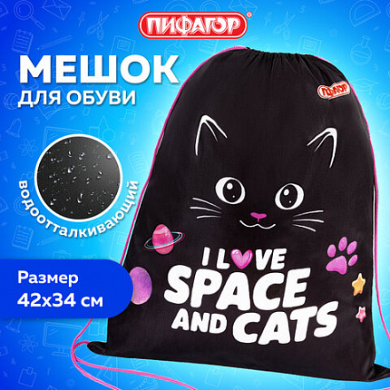 Мешок для обуви ПИФАГОР, 1 отделение, 42х34 см, "Черный кот", 273419