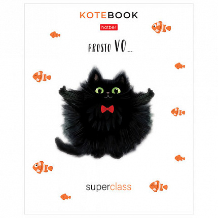 Тетрадь обложка пластик, А5 48л. скоба, линия, HATBER, Котэ (микс в спайке), 091627, 48Т5В2пл