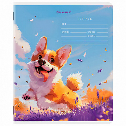 Тетрадь 12 л. BRAUBERG клетка, обложка картон, МИКС-1, 107268