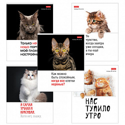 Тетрадь А5 48 л., HATBER скоба, клетка, обложка картон, "Котоюмор" (микс в спайке), 079790, 48Т5В1