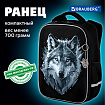 Ранец BRAUBERG LIGHT, 1 отделение, с брелоком, "Серый волк", 36х26х13 см, 273111