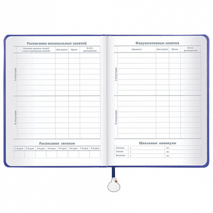 Дневник 1-11 класс 48 л., кожзам (твердая с поролоном), печать, ляссе с аппликацией, BRAUBERG, "Гуси", 107233
