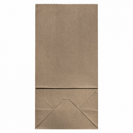 Крафт-пакет бумажный 12х8х24 см, КОМПЛЕКТ 100 шт., плотность 90 г/м2, LAIMA ECO CRAFT, 609682